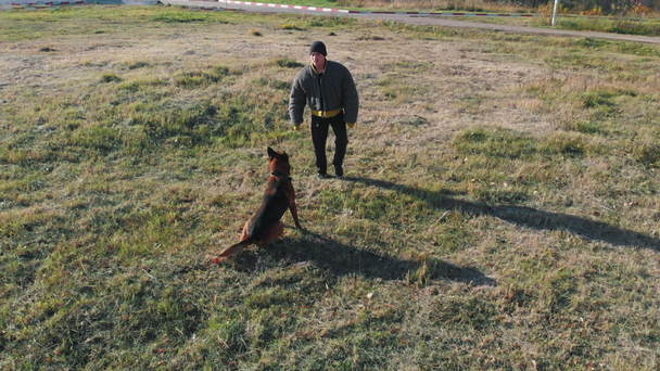 Trénovaný pes útočící na tréninkové rameno - Záběry, video