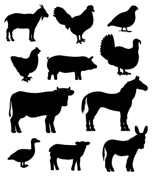 Poultry birds and farm animals isolated cattle - Vector, Image