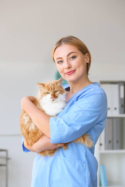 Female veterinarian with cute cat in clinic - Foto, imagen