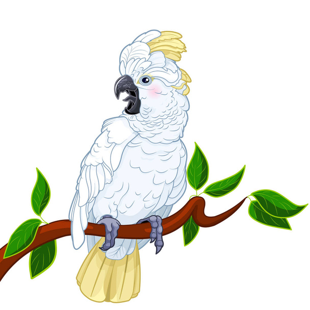 Cartoon illustration of cockatoo parrot bird sitting on tree branch on white background - Vektör, Görsel