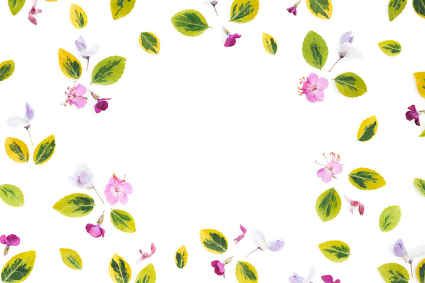 Fondo de primavera: Flores de pradera sobre fondo blanco. Copiar espacio
. - Foto, Imagen