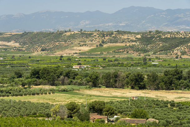 スペツァーノ・アルバニア人近くのイタリアのカラブリア州の夏の風景 - 写真・画像