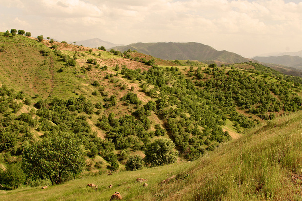 irácký hory v autonomní oblasti Kurdistánu nedaleko Írán - Fotografie, Obrázek