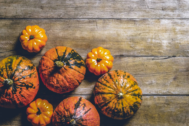 Pumpkins on a wooden background. Harvest concept, autumn, Halloween eve. Banner. Flat lay, top view - Photo, Image