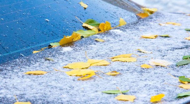 A primeira neve, no final do outono, folhas de outono na neve. queda de neve
 - Foto, Imagem