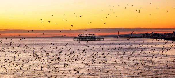 Batı rıhtımı Brighton 'ın önünde gün batımında sığırcıklar mırıldanıyordu. - Fotoğraf, Görsel