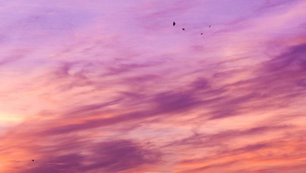 textúra minta felhők napfelkeltét naplementekor a látszólagos tömeg a Co - Fotó, kép