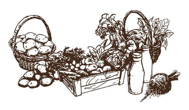 γεωργικά προϊόντα - τρόφιμα, σύνολο ζωγραφισμένων στο χέρι εικονογραφήσεων (φορέας) - Διάνυσμα, εικόνα