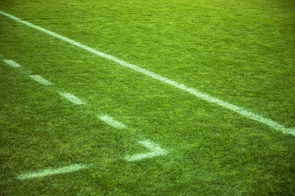 Στάδιο. Γήπεδο ποδοσφαίρου. Γήπεδο ποδοσφαίρου καλυμμένο με πράσινο γρασίδι και σήμανση. - Φωτογραφία, εικόνα