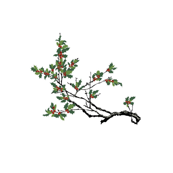 The holly tree isolated on white background - Vector - Vektor, obrázek