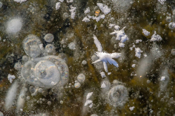 Texture motif fond blanc Hiver, bulles d'air de glace de rivière s
 - Photo, image