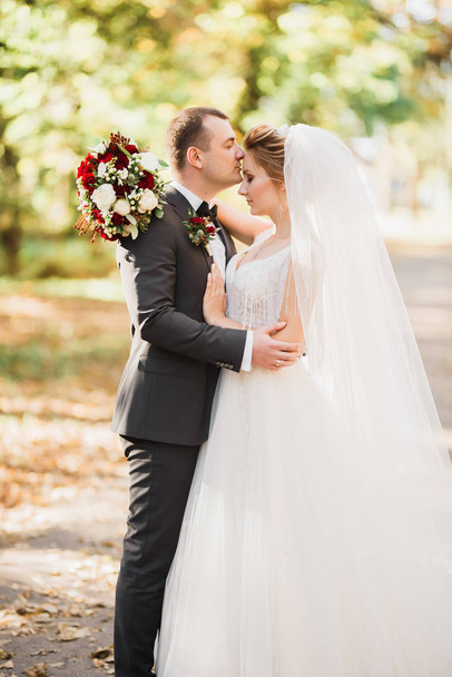 Romantic, fairytale, happy newlywed couple hugging and kissing in a park, trees in background - Фото, изображение