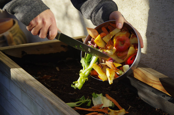 Kitchen waste recycling in composter - Photo, Image
