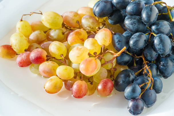 Trauben können frisch als Tafeltrauben gegessen werden oder sie können für - Foto, Bild