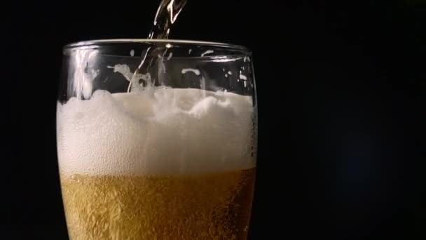 Pouring beer into a glass from green bottle, slow motion - Video