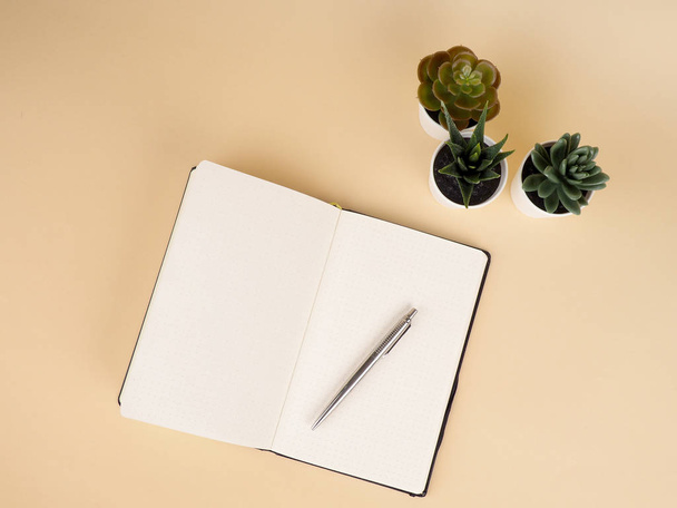 Werkruimte notebook, cactus plant op tafel. cactus en dagboek notitieboekje met potlood op beige - Foto, afbeelding