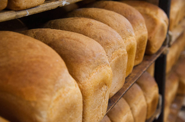 Bakkerij. Productie van brood, broodjes, taarten en koekjes - Foto, afbeelding