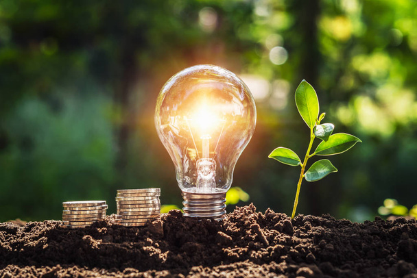 エネルギーの概念エコパワー。電球をお金と若い植物で  - 写真・画像