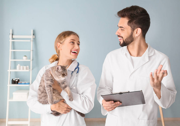 Κτηνίατροι με χαριτωμένη γάτα στην κλινική - Φωτογραφία, εικόνα