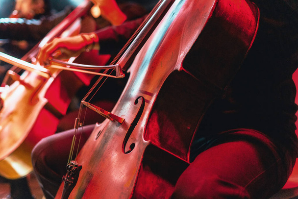 Enstrümanlı çello konseri. Kırmızı canlı bir arkaplan - Fotoğraf, Görsel
