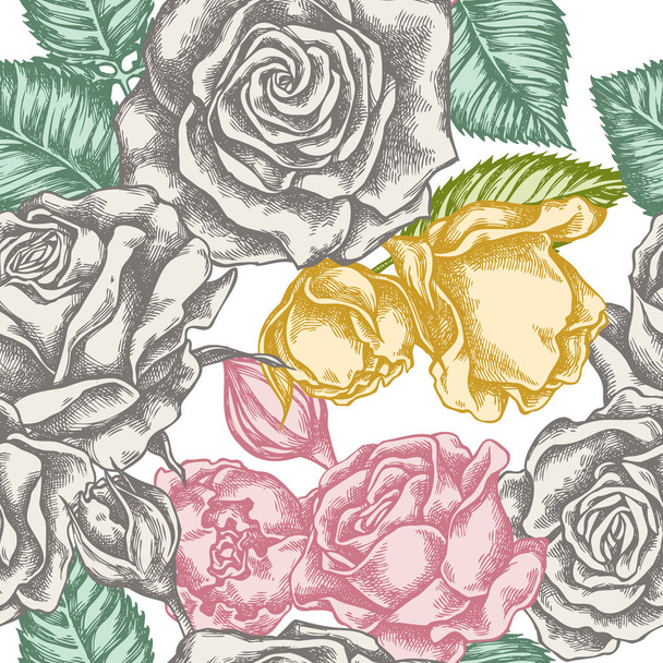 Seamless pattern with hand drawn pastel roses - Vetor, Imagem