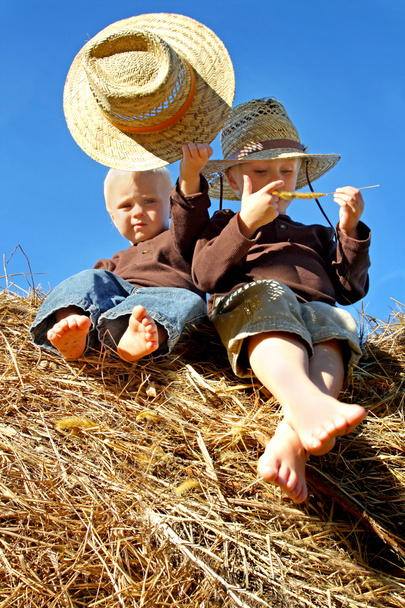 Little Boys in Straw Hats Sitting on Hay Bales - Photo, Image