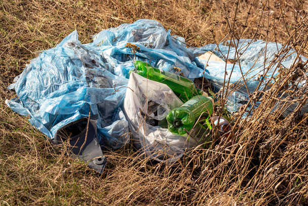 Plastic garbage thrown out in nature among grass. Sunny autumn d - 写真・画像