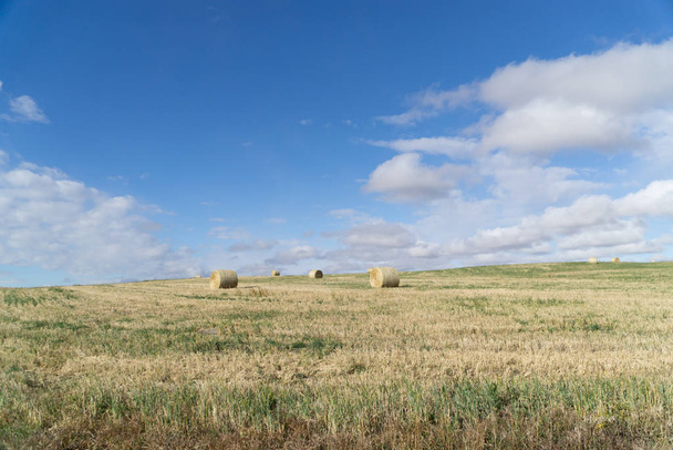 Balíky sena na farmě pole s oblačným oblohou pozadí - Fotografie, Obrázek