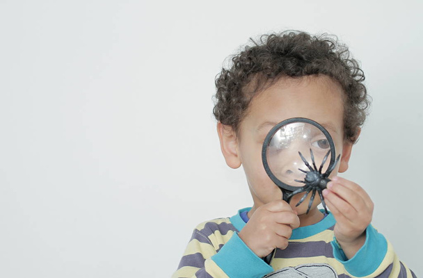 Junge mit Lupe bereit, Spinne zu erforschen - Foto, Bild