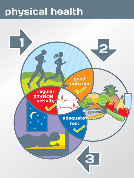 fiziksel sağlık Diyagramı: fiziksel aktivite, iyi beslenme, adeq - Vektör, Görsel