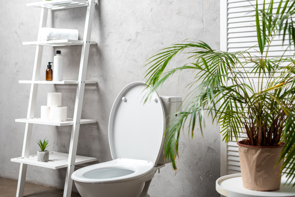 intérieur de la salle de bain moderne avec cuvette de toilette près de rack avec cosmétiques, serviettes, papier toilette, palmier
 - Photo, image