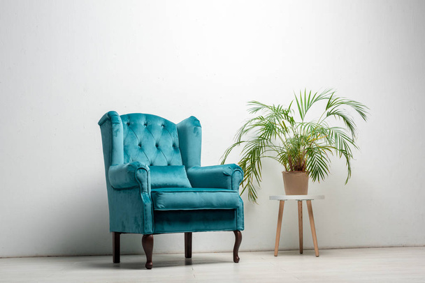 eleganter velourblauer Sessel mit Kopfkissen in der Nähe einer grünen Pflanze - Foto, Bild