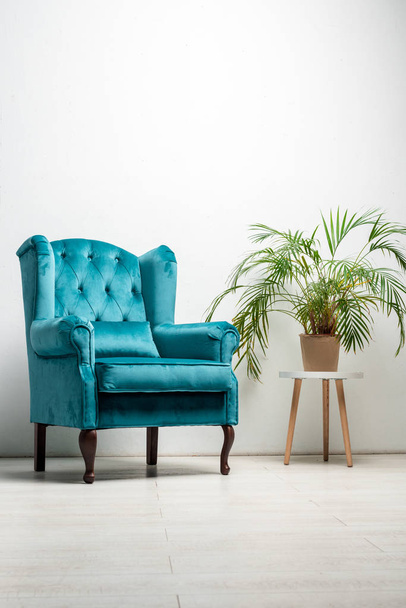 elegante sillón de terciopelo azul con almohada cerca de la planta verde
 - Foto, Imagen