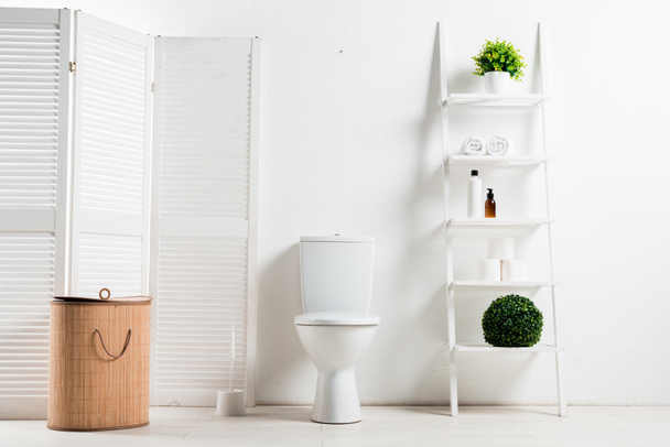 interior of white modern bathroom with toilet bowl near folding screen, laundry basket, rack and plants - Fotó, kép