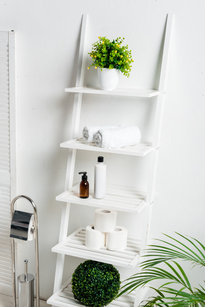 トイレブラシ付きの白いモダンなバスルームのインテリアタオル付きのラック。トイレタリーペーパー化粧品植物 - 写真・画像