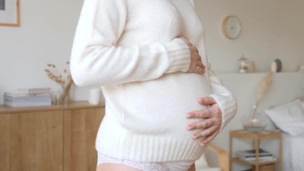 Pregnant Woman Holding Her Belly - Filmagem, Vídeo