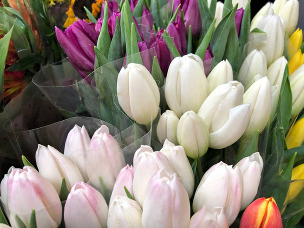Tulipes en bouquets enveloppés dans du plastique
 - Photo, image