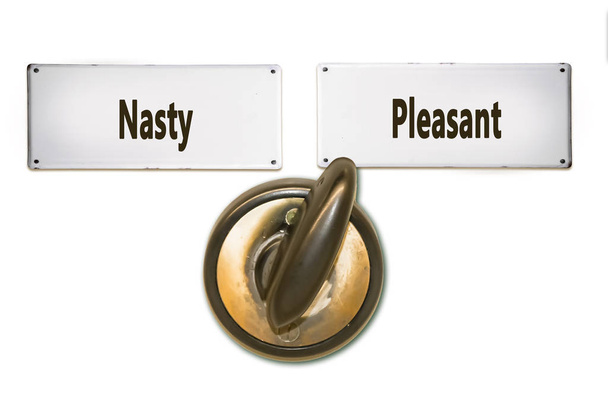 Street Sign Pleasant versus Nasty - Photo, Image