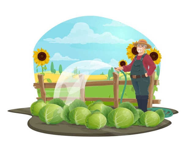 Agricultor con manguera de riego y verduras en la granja
 - Vector, Imagen