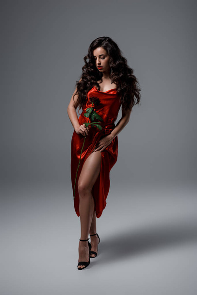 sensual girl in red silk dress holding red rose on grey - Fotografie, Obrázek
