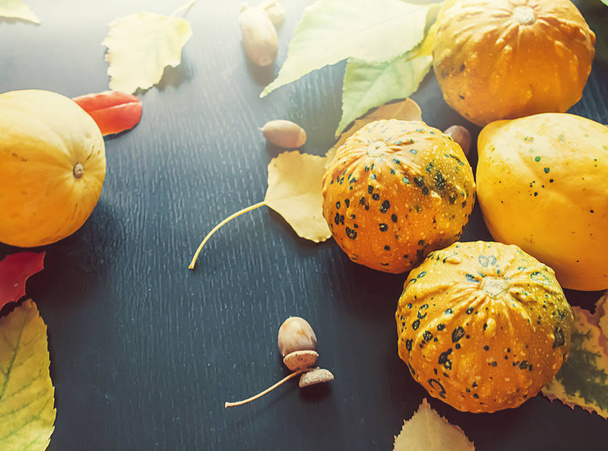 Pumpkins and autumn leaves. - Φωτογραφία, εικόνα