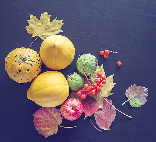 Pumpkins, chestnuts,  rowanberry and autumn leaves. - Φωτογραφία, εικόνα