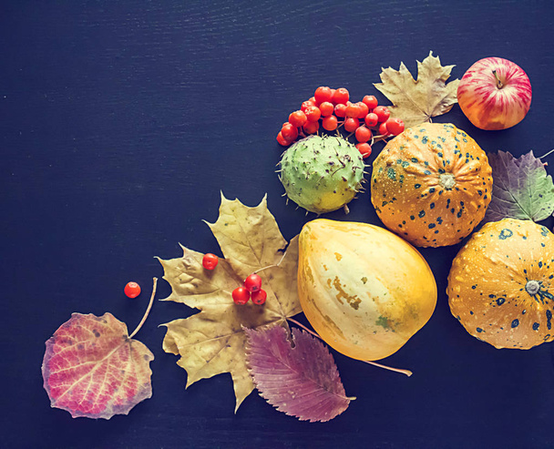 Pumpkins, chestnuts,  rowanberry and autumn leaves. - Φωτογραφία, εικόνα