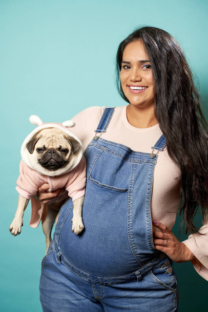 Smiling pregnant woman with pug on blank blue background - Valokuva, kuva