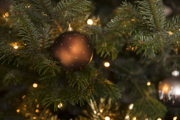 Goldene Weihnachtskugel im Baum - Foto, Bild