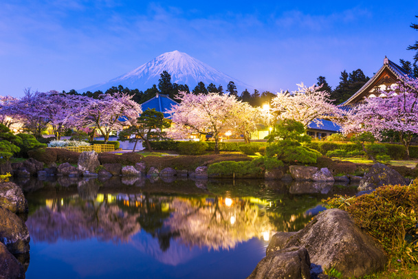 Fujinomiya, Shizuoka, Japan with Mt. Fuji and temples in spring  - Photo, Image