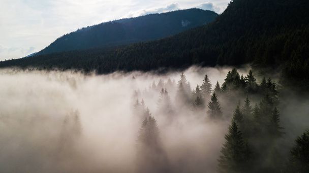 Вид с воздуха на Татры в тумане утром
 - Фото, изображение