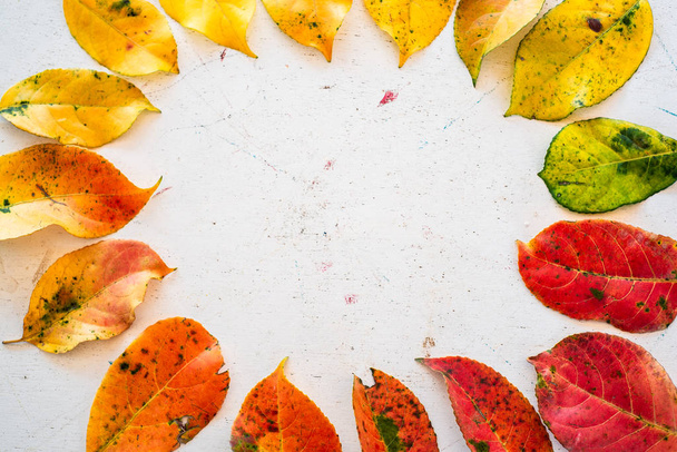 Красивые цветные осенние листья на столе, осенняя концепция
 - Фото, изображение