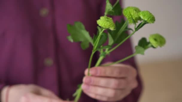 Woman florist cleans the stems of plants from leaves in the manufacture of a bouquet, close-up - Πλάνα, βίντεο