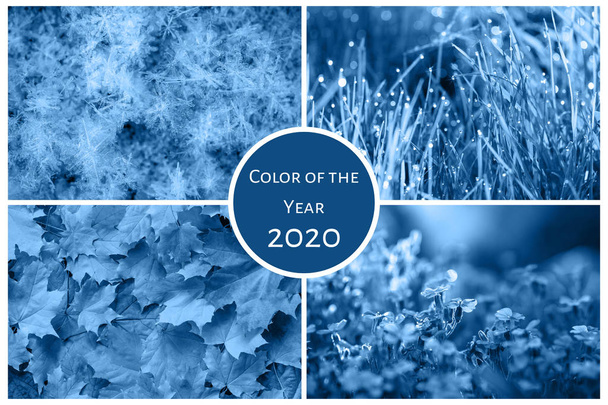 Cor do ano 2020 clássico azul. Colagem de quatro estações: Inverno, Primavera, Verão, Outono
 - Foto, Imagem